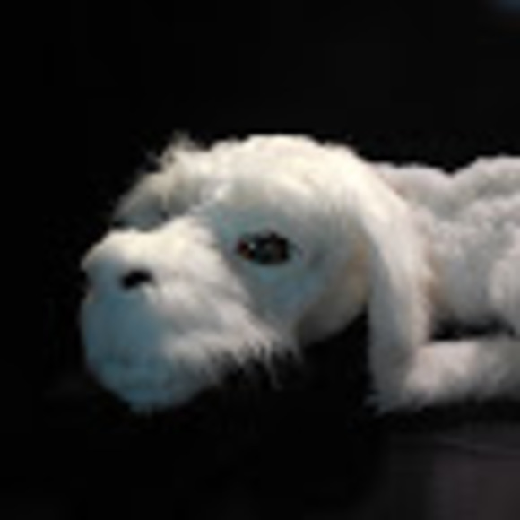 breaghcotton